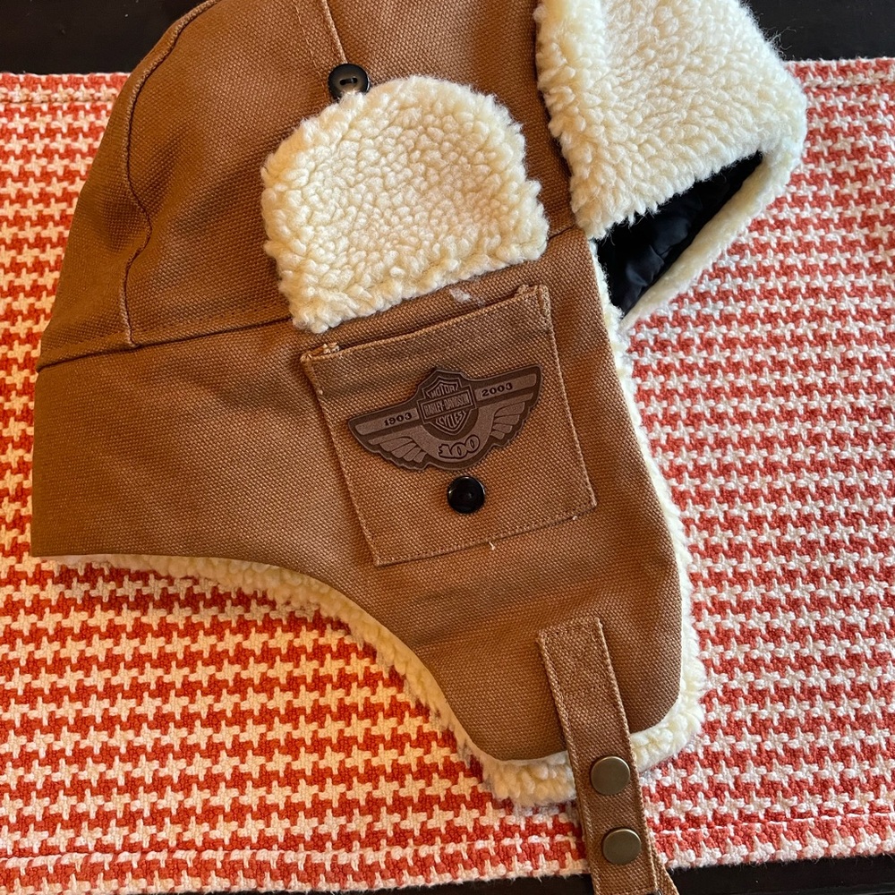 100th Anniversary Harley-Davidson Winter Hat